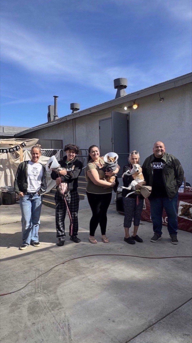 Community members waiting with their dogs